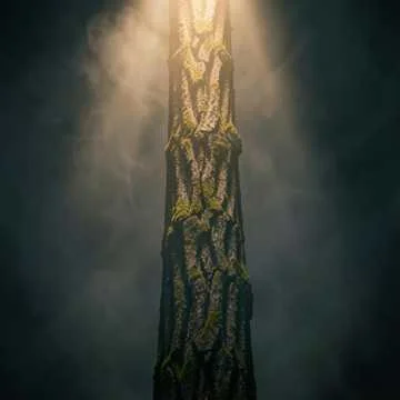 Twilight Cypress Groove