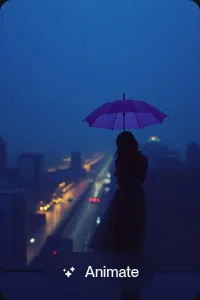 Amber Lounge Reflections