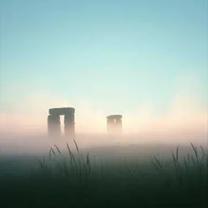 Misty Moor Bloom (Version 2)