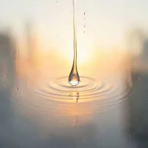 New Day Rising (18)