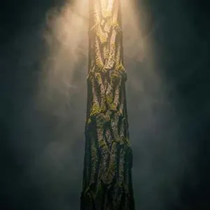 Twilight Cypress Groove